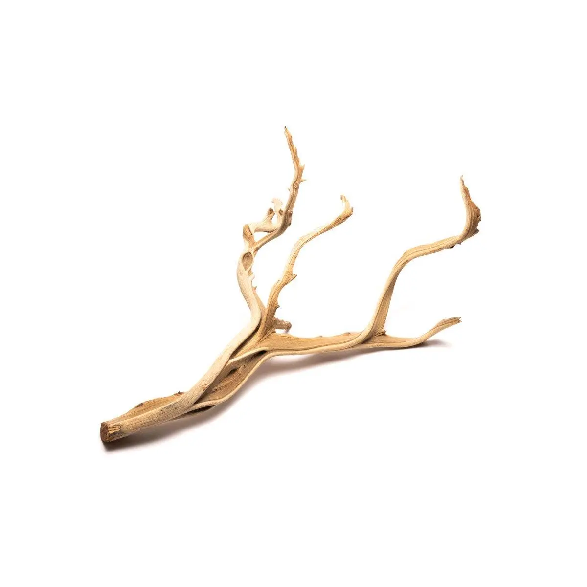 Ghost Wood Ghost Wood