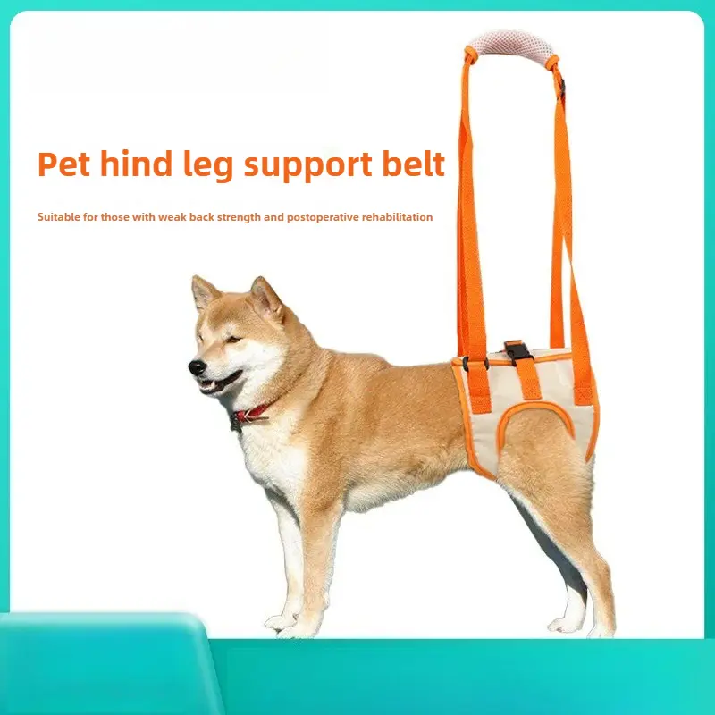 Dog Hind Leg Support Sling - Multi-Size Support Brace with Collars, Post-Op & Rehabilitation Aid for Senior Disabled Canines, Post-Op Aid