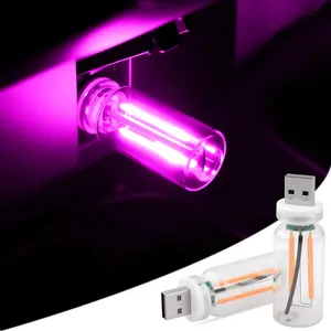 2 PCS Retro Dimmable USB Lighted Decorative Lights - Easy-Install Plug-in Glass Shell LED Atmosphere Lamps, Touch Control Portable Mini Bottle Lamps for Vehicle & Holiday Decor (Purple)