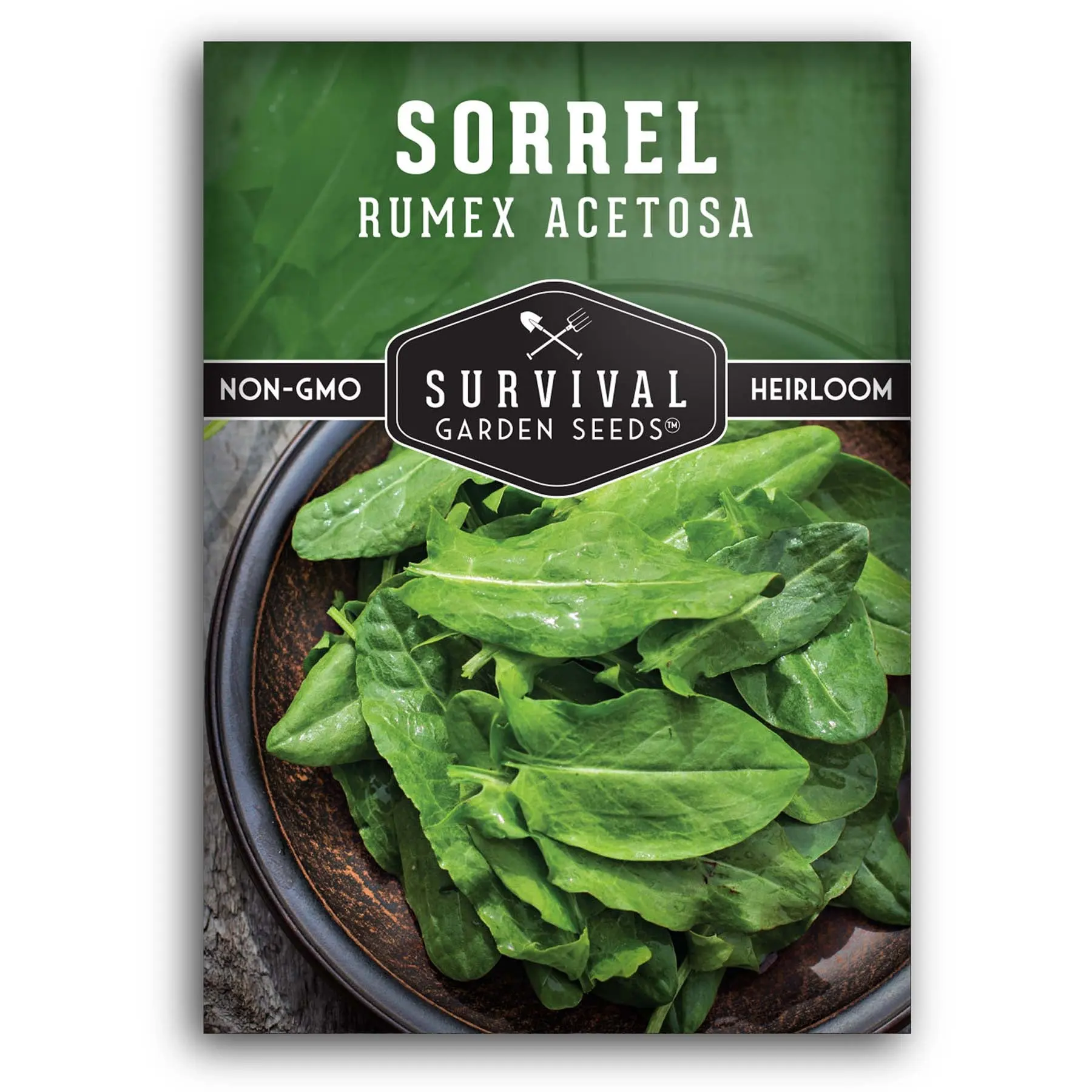 Sorrel Garden Seeds - Tart, Frost-Hardy Perennial Vegetable Green for Early Spring Harvests, Garden Seeds Vegetable
