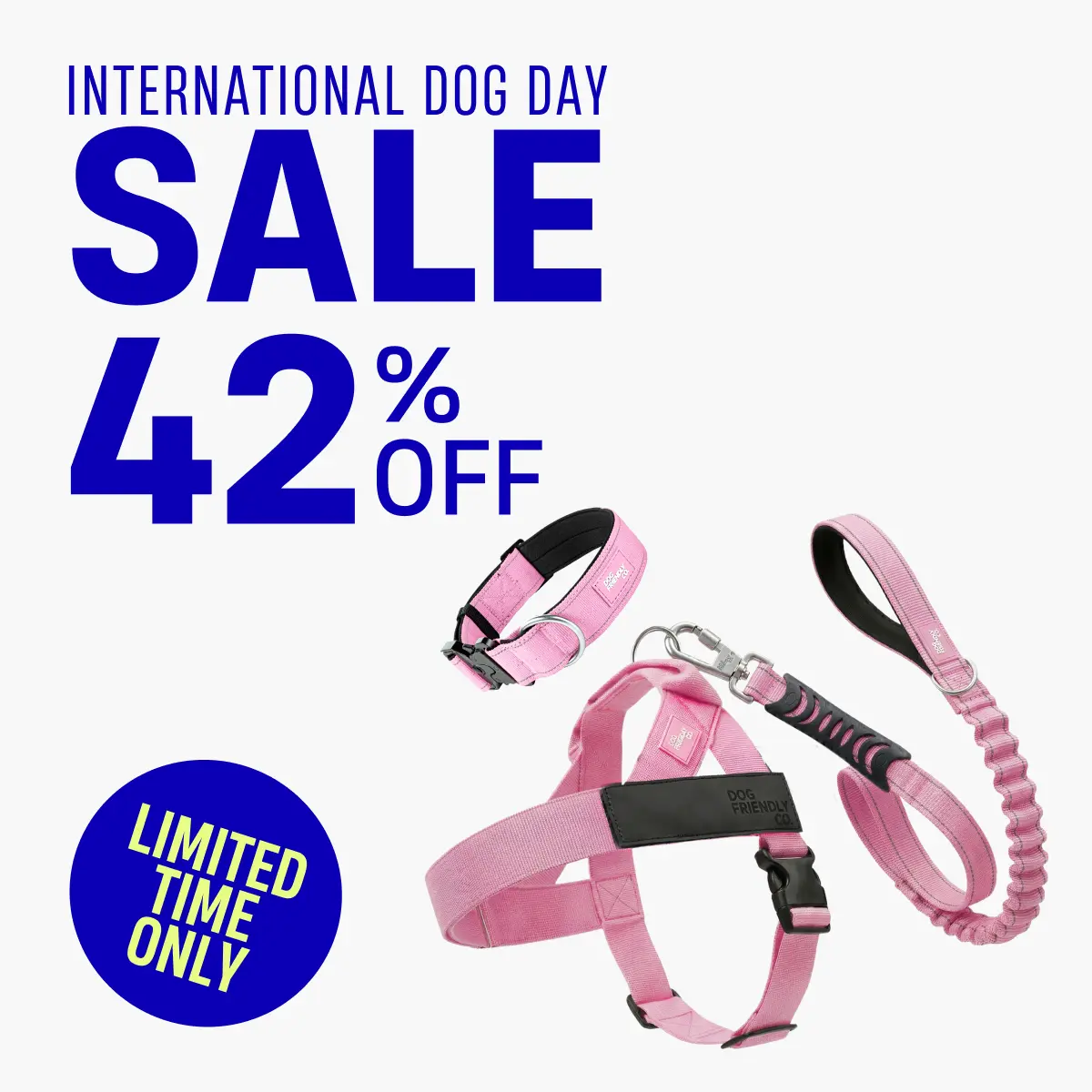 No Pull Dog Harness + Collar Set – Dog Lovers Pack - Dog Friendly CO