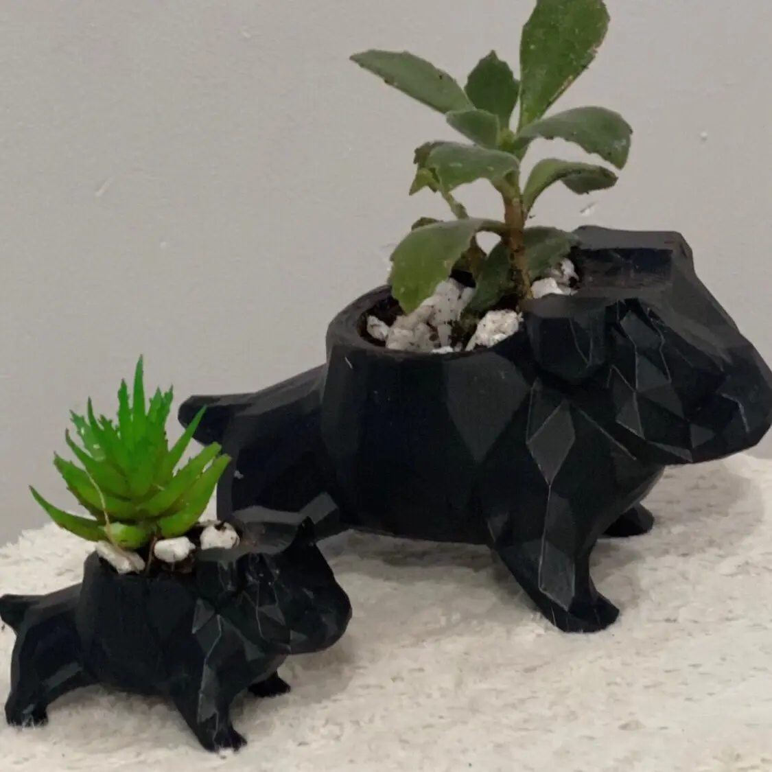 Animal planters~ Bull dog plant pot-  (Fruit Decorative Plants)