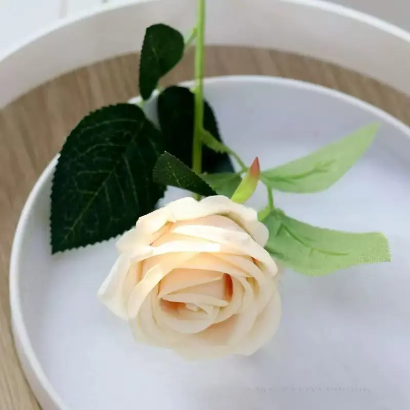 12 rose champagne-colored flowers