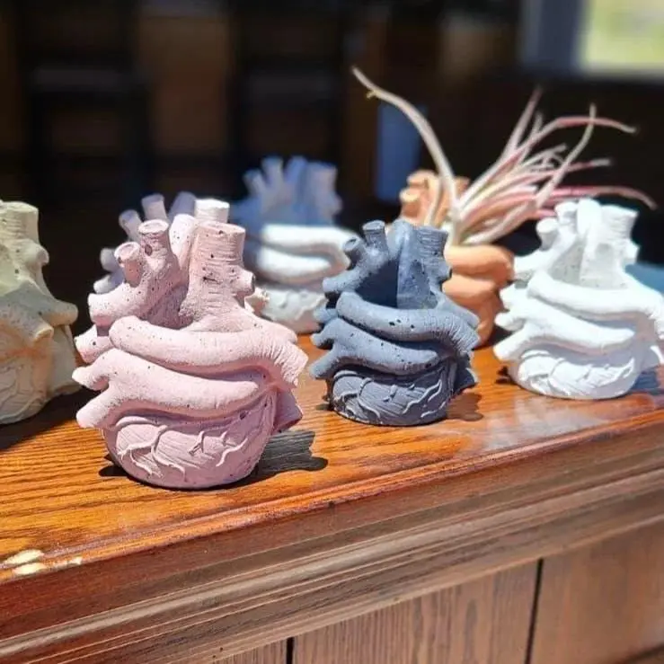 Heart Ventricle Concrete Planter