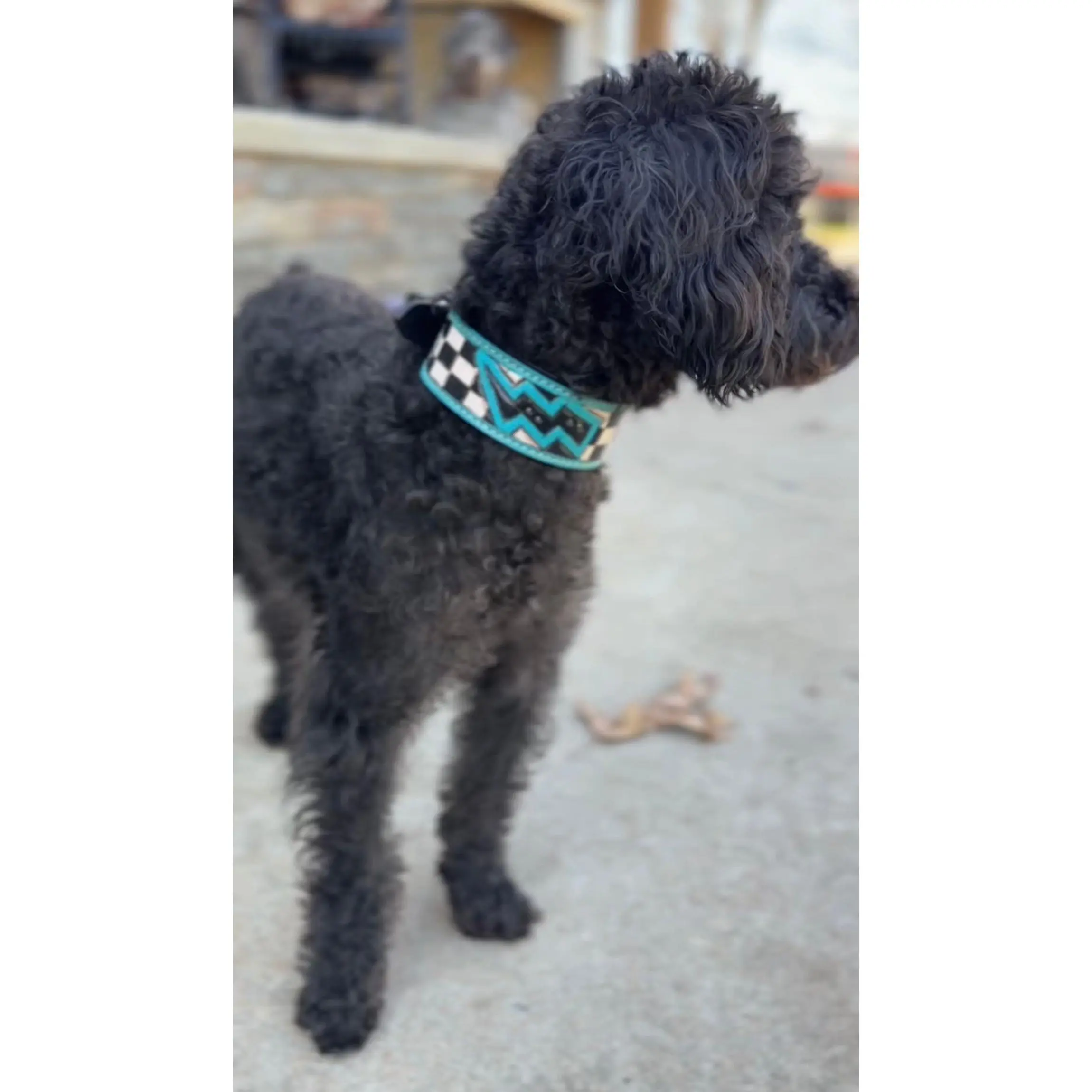 Tooled Dog Collar-Turq Lighting Bolt