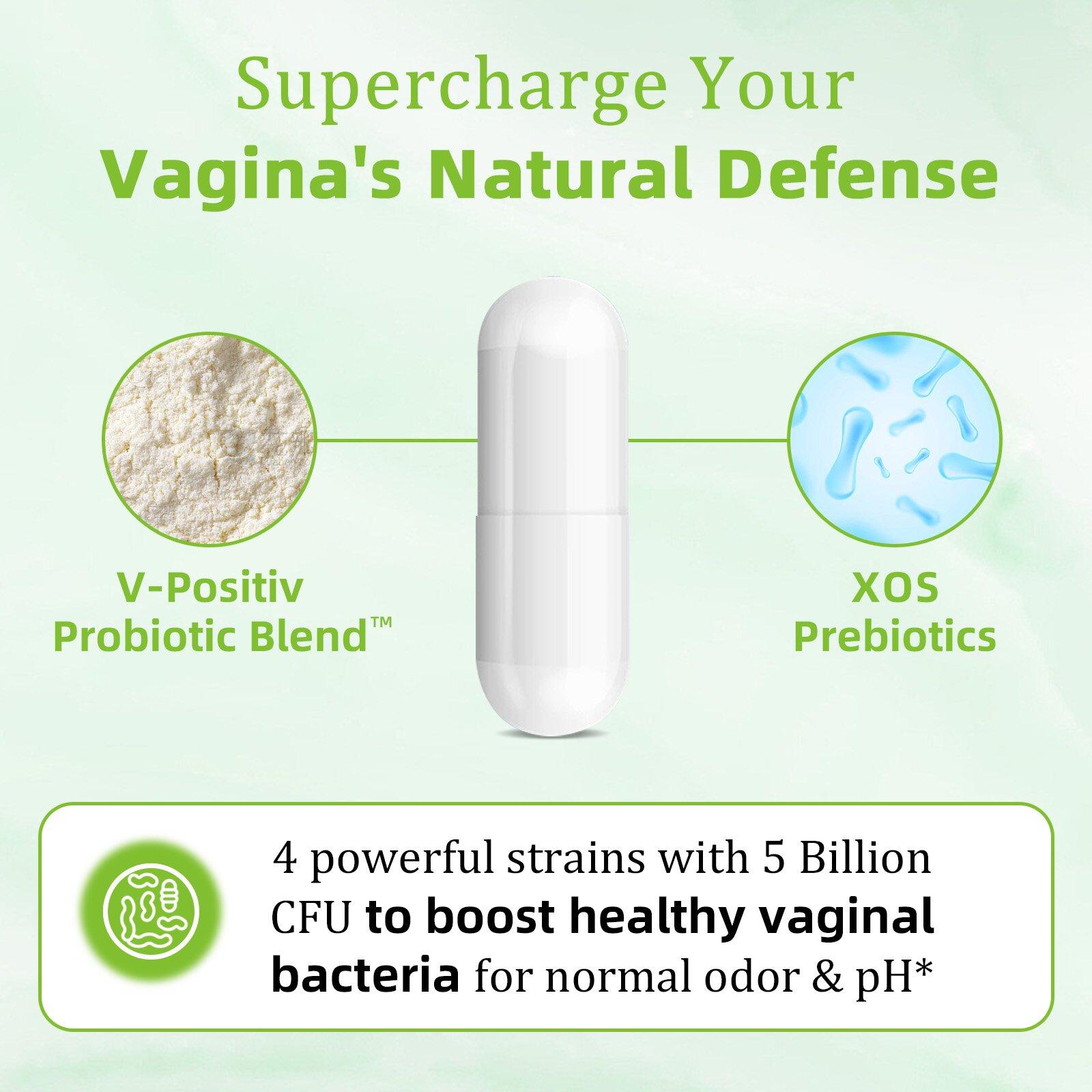 WellCatcher Active Probiotic Capsules | Replenish Gut Flora, Support Vaginal Health, Daily Probiotic for Adults