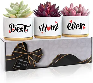 Ceramic Succulent Planters Set of 3 (2 Styles: Heartwarming "Best Mom Ever", Inspirational "You Are Awesome") with Bamboo Tray, Decorative Indoor Tabletop Multi-Plant Ornamental Flower Pots, Family Gift, Home Office Decor (Plants Not Included), Decorative