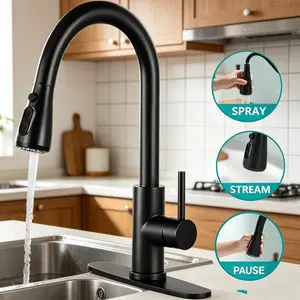 Kitchen Faucet with Pull Down Sprayer, High Arc Single Handle, Brushed Nickel, Brushed Go Home ld Finish  Modern