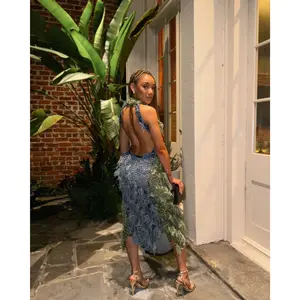 Hot Girl  Casual Backless Dress