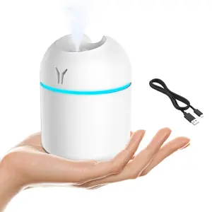 Portable Mini Humidifier, 250ML 3-in-1 Cool Mist With Aroma Pads, Colorful Night Light, USB for Car and Travel (White) free ship