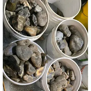 Low Grade Montana Agates
