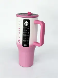 HydroJug 32oz Stainless Steel Tumbler Pink Ombre Travel Mug with Handle Lid Insulated Leak-Proof BPA-Free Drinkware Flask for Cold Drinks Portable Water Bottles Lightweight
