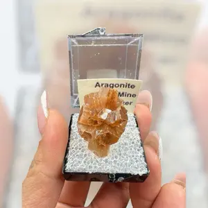 Orange Aragonite from Morocco Natural Crystal Specimen in Display Case for Collectors and Mineral Enthusiasts