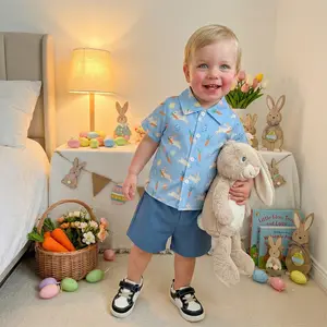 Toddlers Boys Easter Outfit, Short Sleeve Rabbit Carrot Eggs Print Button-down Shirt with Elastic Waist Shorts
