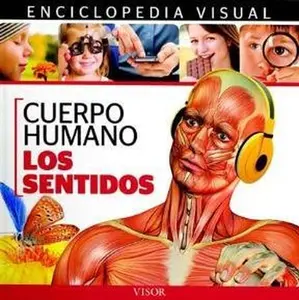 USED-Enciclopedia visual de anatomía : cuerpo humano vida y salud : los sentidos by Campos Salvá Carlos Alberto(Director) (Paperback)