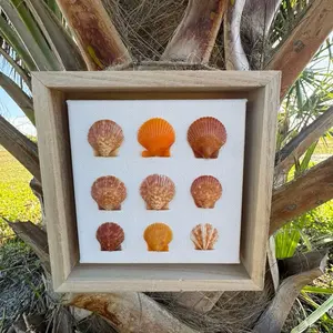 Handmade orange shell wall decor