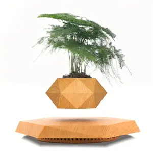 Magnetic Levitating Plant Pot For Indoor Use, Black Levitating Plant Pot For Air Plants, Magnetic Rotating Air Bonsai Planter, Floating Planter, Bonsai Pot For Home