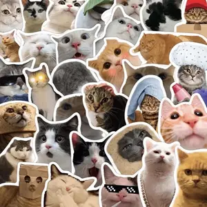 50 pcs Meme Cat Stickers - Waterproof Stickers for Motorcycle, Laptop, Luggage, and Water Bottle -