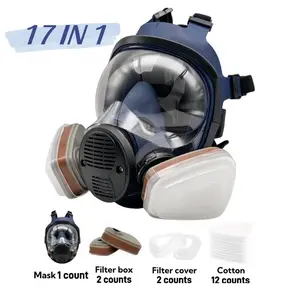 Reusable Anti-Fog Toxic Face Mask Set, Protective Mask, Full Face Respirator with Filter, Non-Slip Net Headband, Gas Dust Poison Protection, DIY Painting
