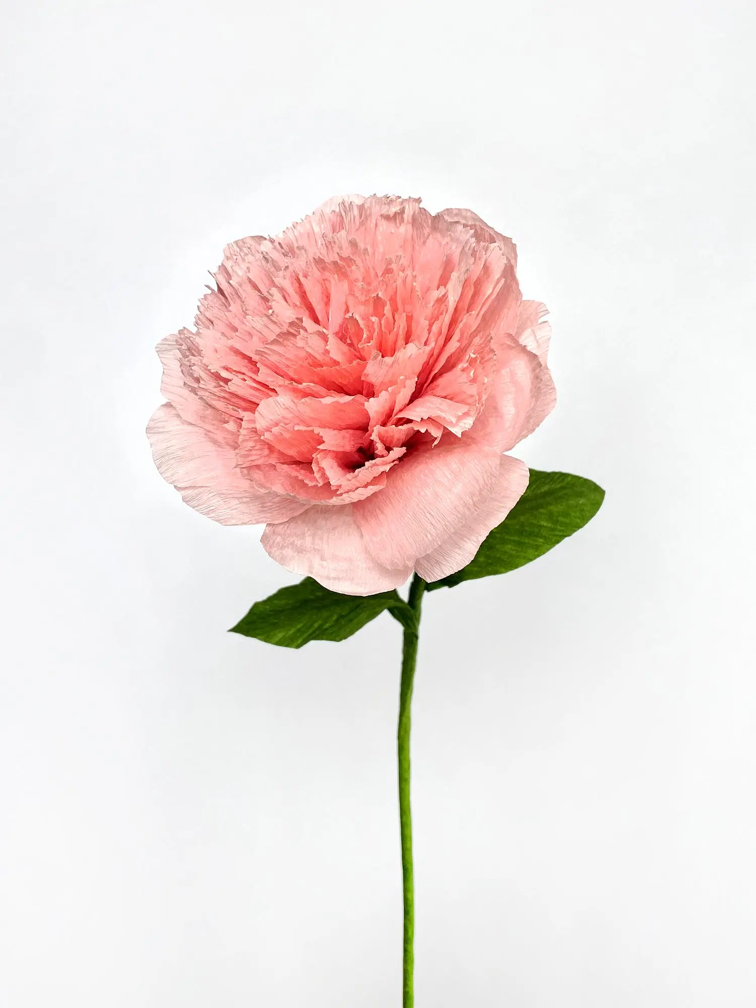 Carnation Single Stem | Handcrafted Paper Flower