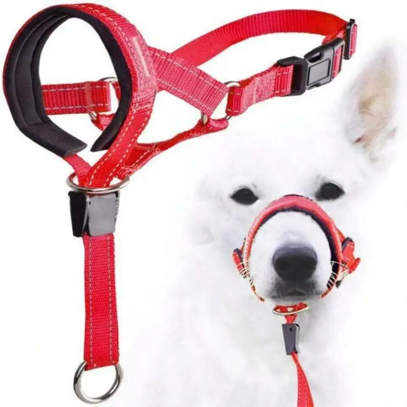 Dog Muzzle with Safety Strap - Multicolor Polyamides Gentle Leader Headcollar, Color Block No-Pull Collar for Dog Walks, Behavior & Effective Control, Comfortable Fit, Behavior Control