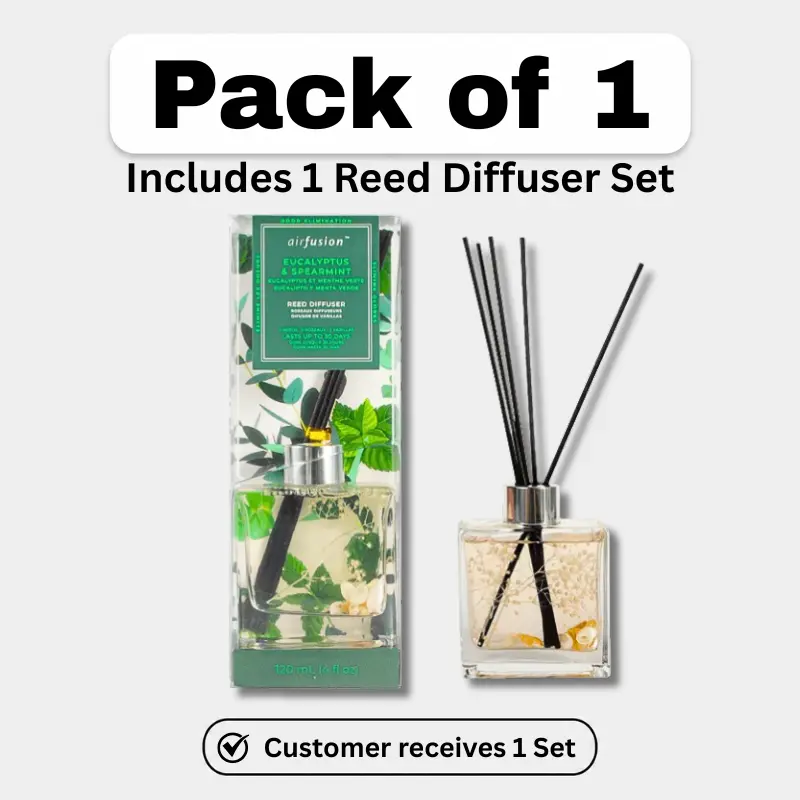 Air Fusion Eucalyptus & Spearmint Scented Reed Diffuser Set - 120 mL Home Fragrance for Living Spaces, Indoor Spaces, Pack of 1