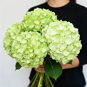 5-Piece Oversized Artificial Flower Bouquet Set, Realistic Fake Flowers for Home Decor & Wedding Props, Spring Floral Arrangement