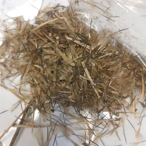 semilla de papalo Seed semilla de papalo Seed