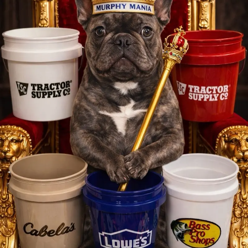 Murphy Mania 5 mini-Bucket Royal Collection