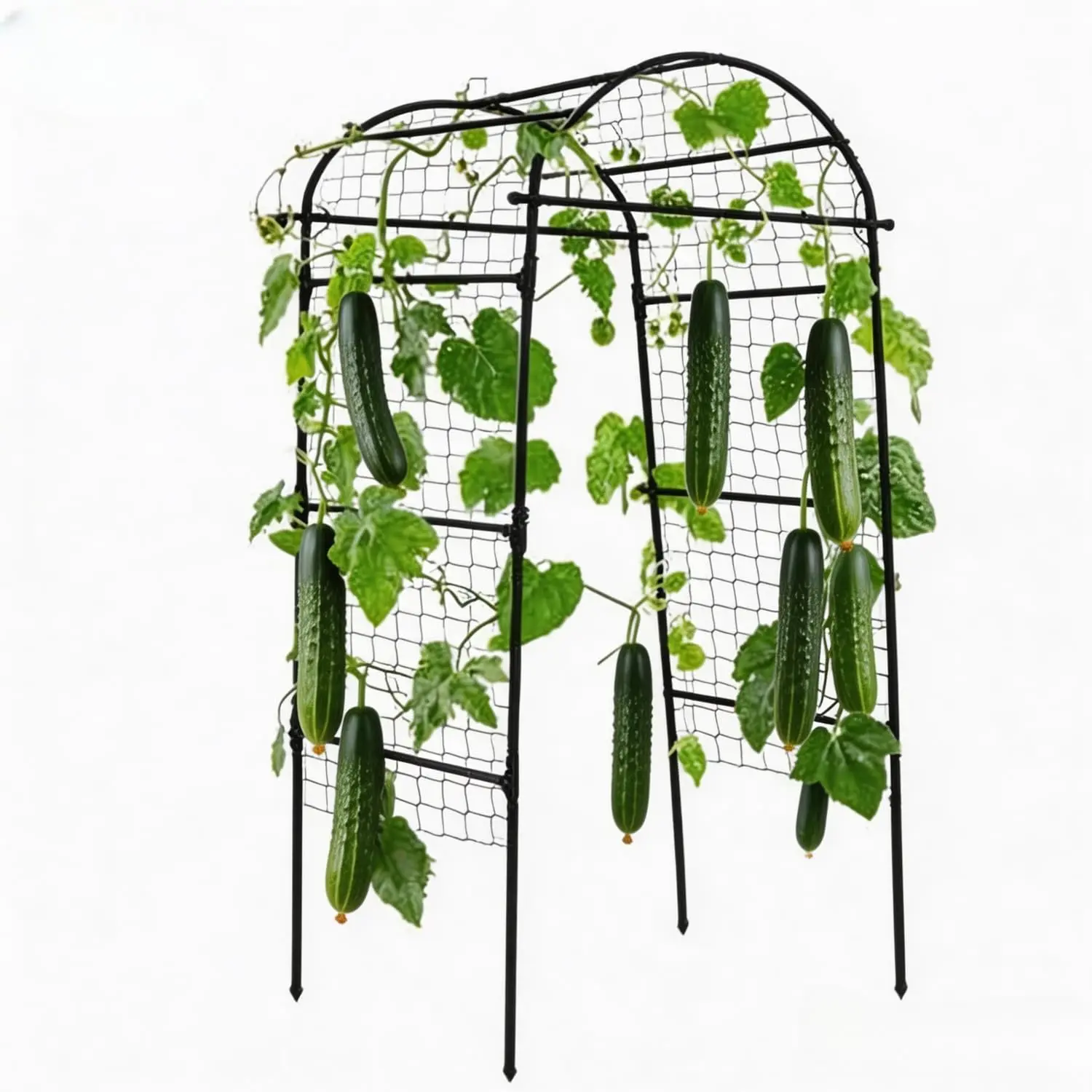 Rust-Resistant Garden Arch Trellis for Raised Beds – Outdoor Vertical Plant Support Frame – Perfect for Climbing Vegetables, Cucumbers, Melons, Grapes, and Roses, Small Flower Pot Support