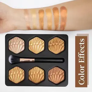 6-Color Highlighter & Contour Pressed Powder with Brush, Bronze Shimmer Highlighting Eyeshadow Palette — Cosmetics