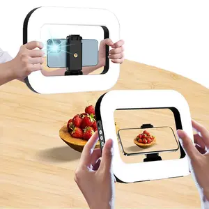 Phone Holder, 1 Count 11 Inch Selfie Light with Rotatable Stand, Portable Mini Fill Light for Phone Photography, Computer Video Conference Ring Light, Selfie Led Lights