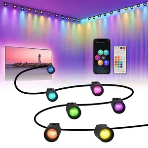 HEDCINLT 12PACK LED RGBIC String Downlights Smart App Control Music Sync Color Changing Indoor Wall Light Fixture 15FT Decoration Lights for Party Black Rgb Colorful Led Led Dimmable