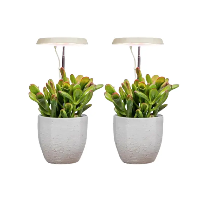 AeroGarden LED Full Spectrum Stem Grow Light, Grow Light for Seedlings, for Indoor Use (Home Improvement, Garden Supplies, Greenhouses & Seed Starters), Modern, Plant Growth