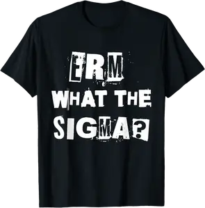 Erm What the Sigma - Funny Brainrot Meme Saying T-Shirt - Yoandymira Shop 49B0DNWT2JB5