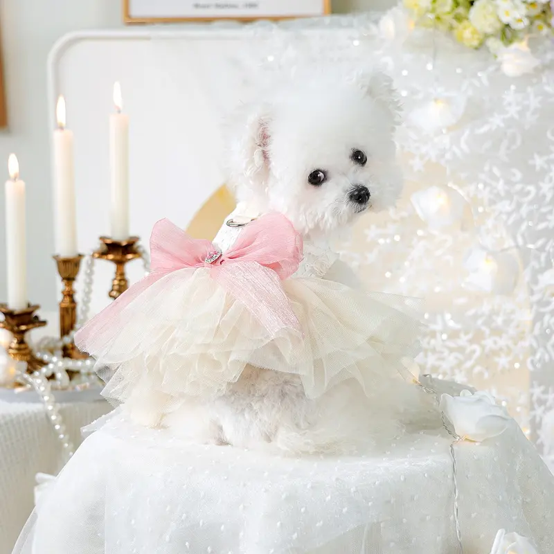 Cute Princess Dress Costume for Pets, Dog and Cat Wedding Gown, Suitable for Teddy Bichon Pomeranian Miniature Poodle Dogs, Adorable Pet Clothing, Puppy Clothes
