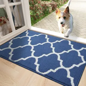 Indoor Door Mat, 30x17, Non-Slip Absorbent Resist Dirt Entrance Mat, Washable Low-Profile Inside Floor Mat Doormats for Entryway