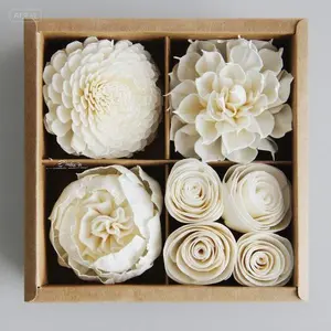 Sola Flower Diffuser Set with Cotton Wick for Home Fragrance, Reusable White Floral Arrangement, Natural Scented Decor, Handmade Eco-Friendly Wick Stems, Aromatherapy Replacement Kit Perfume small load Cute Dinosaur-Shaped Toilet Bowl Cleaner sleep aid