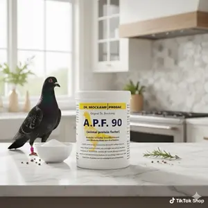 Dr. Brockamp Probac A.P.F. 90 for Messenger Pigeon 500g - Electrolyte & Glucose Powder for Optimal Hydration & Fast Recovery