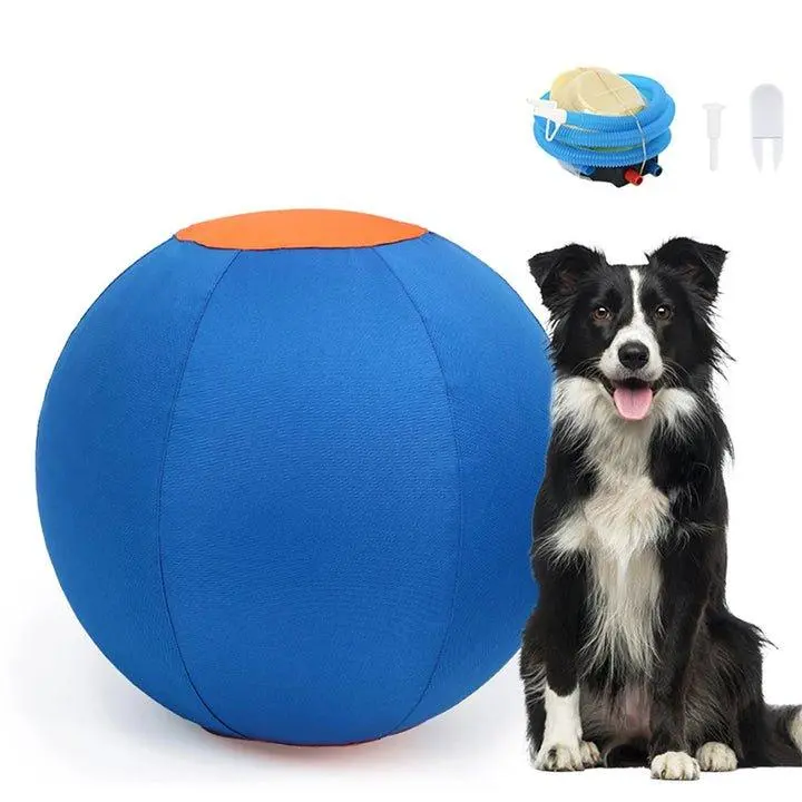 Dog Ball - Maneuver Training