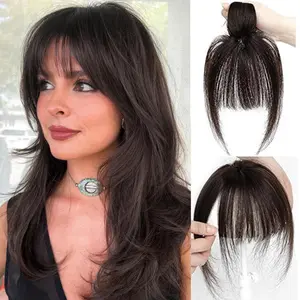 Vasilia Bangs Hair Clip, Clip in Bangs Hair Toppers for Women 100% Real Human Hair, Clip on Bangs 360° 3D Cover Wispy Fake Clip in Hair Extensions for Women Daily Mother's Day 2026 New Year gifts