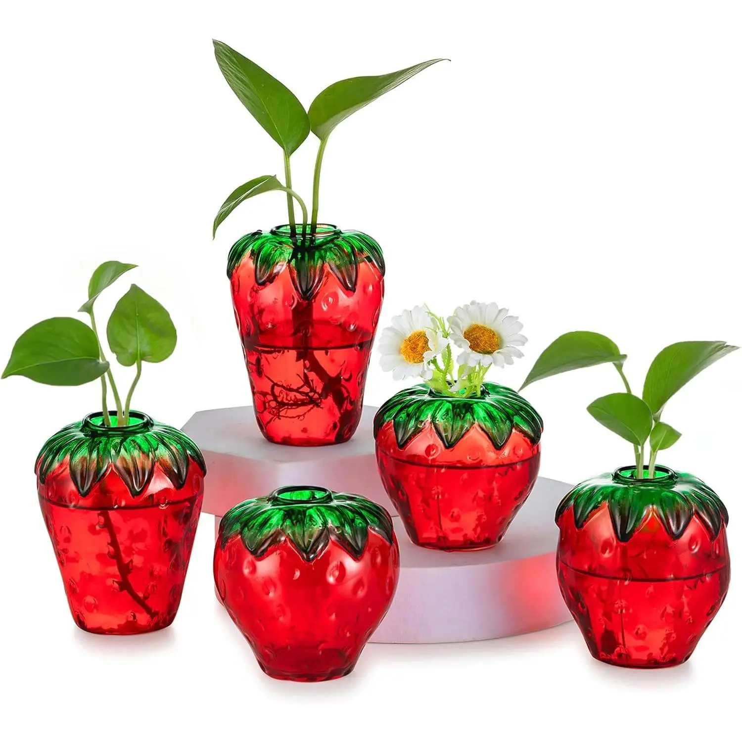 5PCS All-Glass Strawberry Propagation Vase Set - Hand-Painted Fruit Hydroponic Planters, Indoor Decor for Dining Room, Mother's Day Mom Gift (Red)