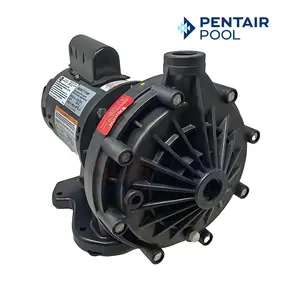 Pentair Booster Pump For Pressure Side Cleaners | EC-LA01N