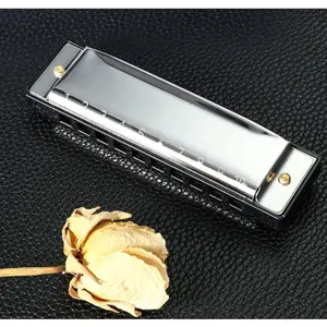 Beginner 10-Hole C Key Blues Harmonica with Mirror Surface, High-Appearance Wind Instrument, 1/2/4-Piece Set for Children's Early Education & Sensory Development, Wind Instruments