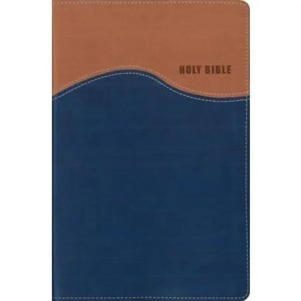 Used New International Version (NIV) Holy Bible - Zondervan 2005 Gift Edition, 736 Pages, Soft Covers, Dust Cover Included, Bible Study Book for Daily Use - English