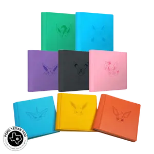 Pokemon Eeveelution Binders [Simplified Chinese]