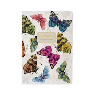BV Notebooks by Bruno Visconti