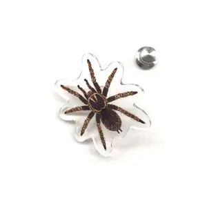 Curly Hair Tarantula (Tliltocatl albopilosus) Acrylic Pin