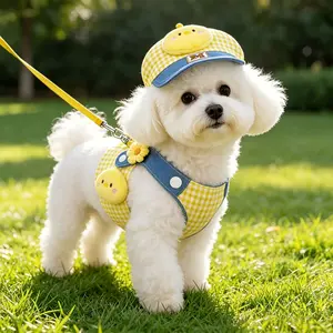 3-In-1 Dog Leash And Sun Hat Set, Including Anti Pull Chest Strap, Harness, Soft And Adjustable, Suitable For Small And Medium-Sized Dogs, Specially Designed For Bichon, Yorkshire, And Chihuahua, Machine Washable Outdoor Dog Walking Equipment