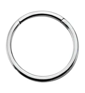 Hinged Stainless Steel Segment Hoop Ring